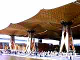 expo wooden roof