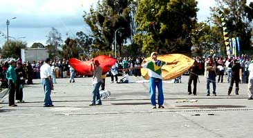 moon kites