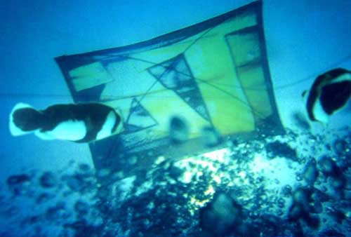 double exposure - screenie kite underwater
