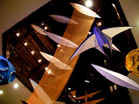 art kites expo 2002